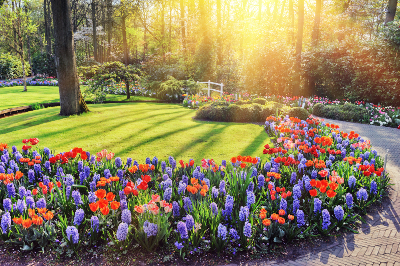 Newmans's Ground Care - Annual Flower Beds