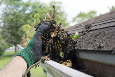 Newmans's Ground Care - Gutter Cleaning