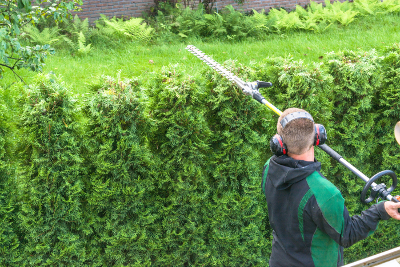 Newmans's Ground Care - Landscape Maintenance