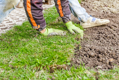 Newmans's Ground Care - Sod Installation & Repair